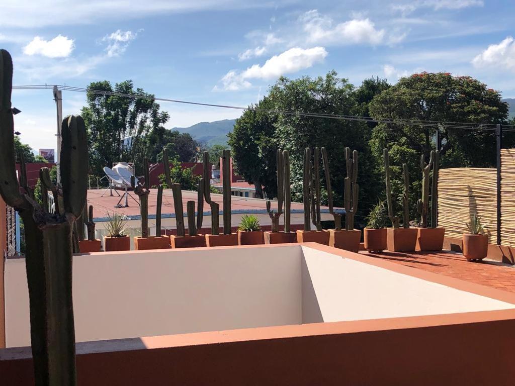 Casa Cronica Leilighet Oaxaca Eksteriør bilde